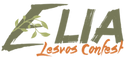 Elia Lesvos Confest